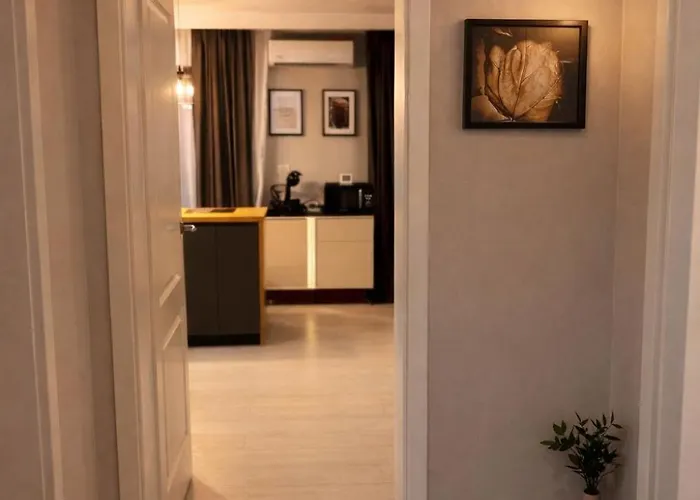 Olympus Escape * Bucureşti